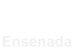 Diseño Web en Ensenada | DW Ensenada